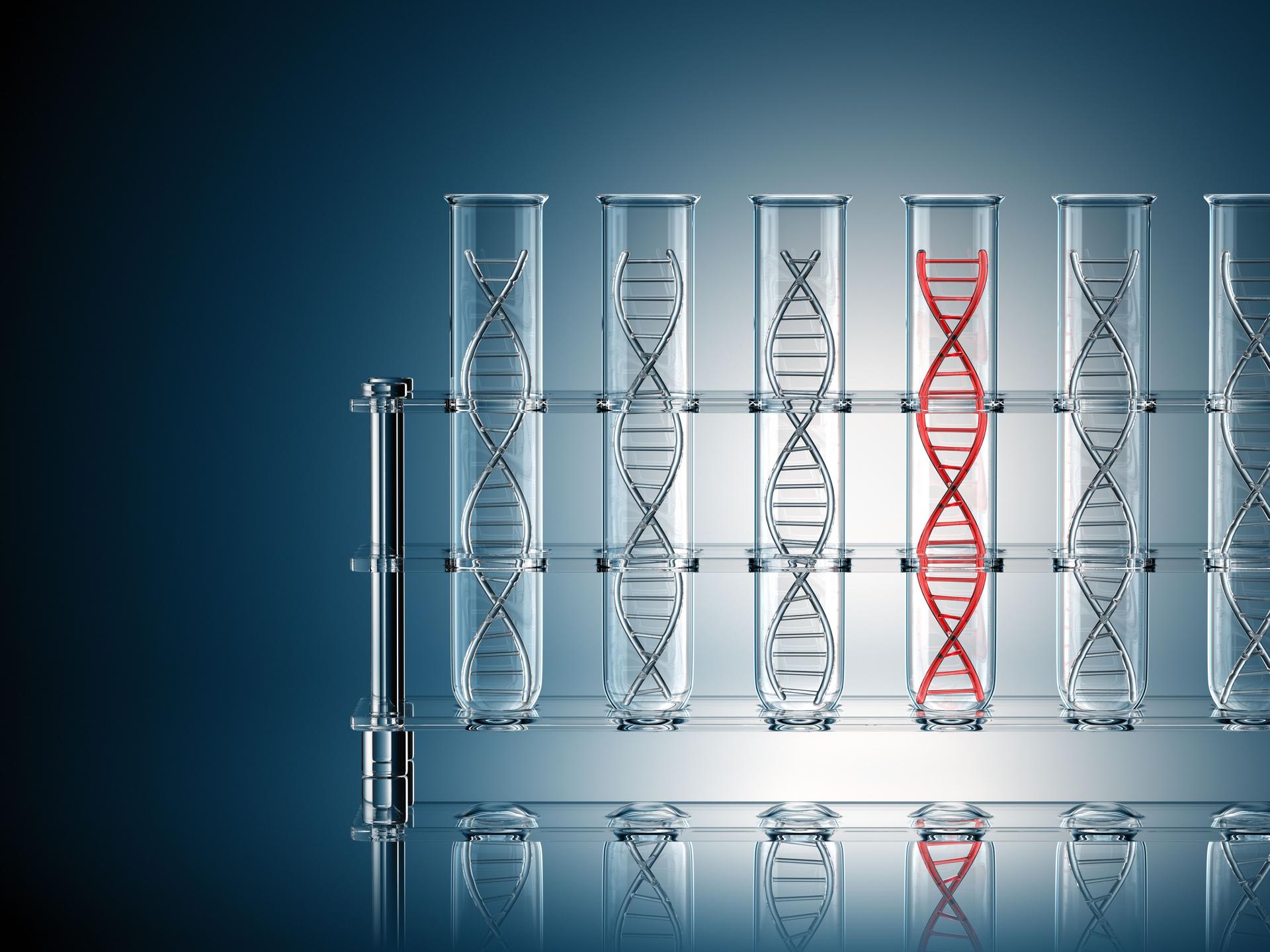 DNA Test