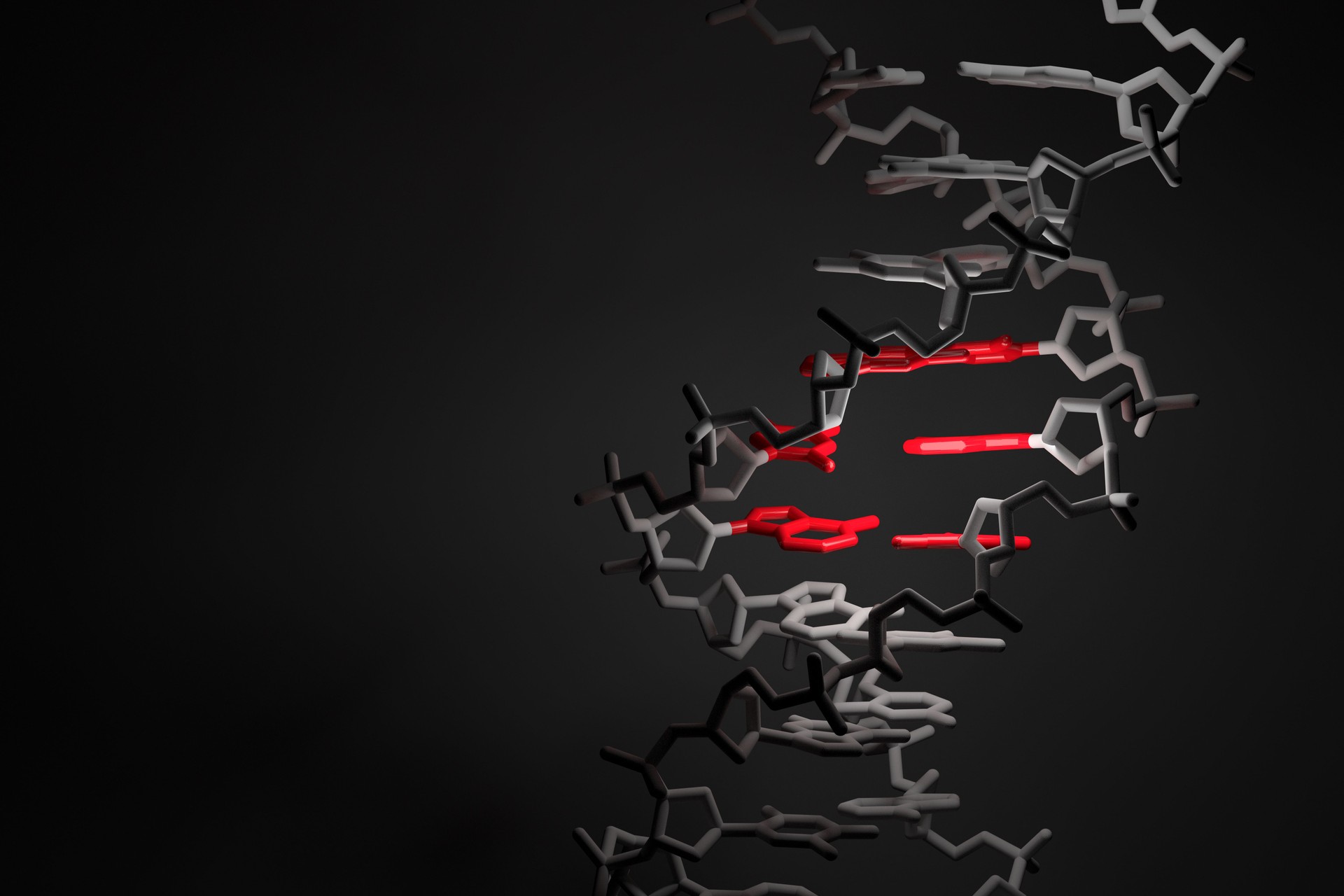 DNA strand with highlighted red region