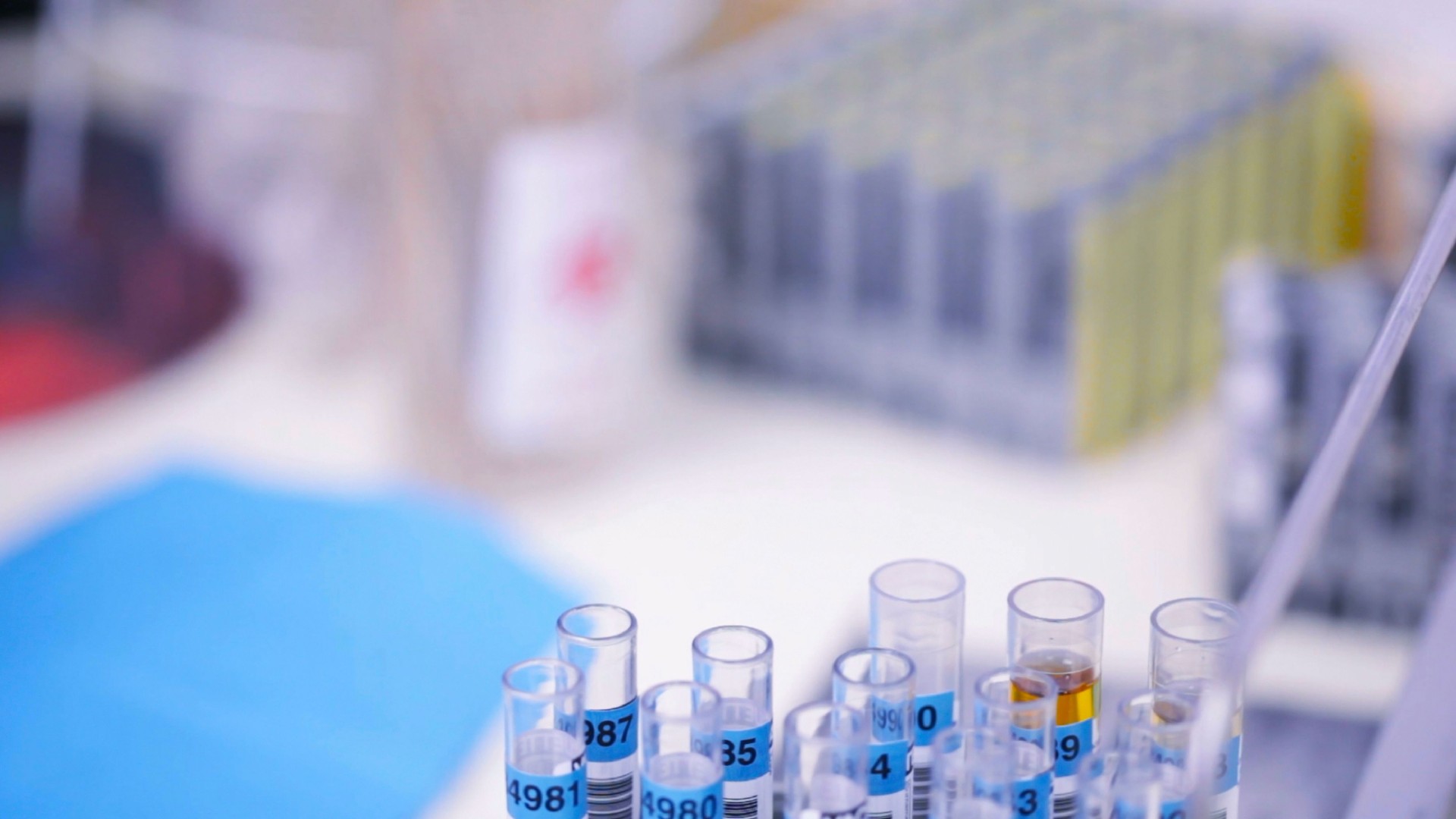 Tubes stay into the clamp in laboratory enviriment