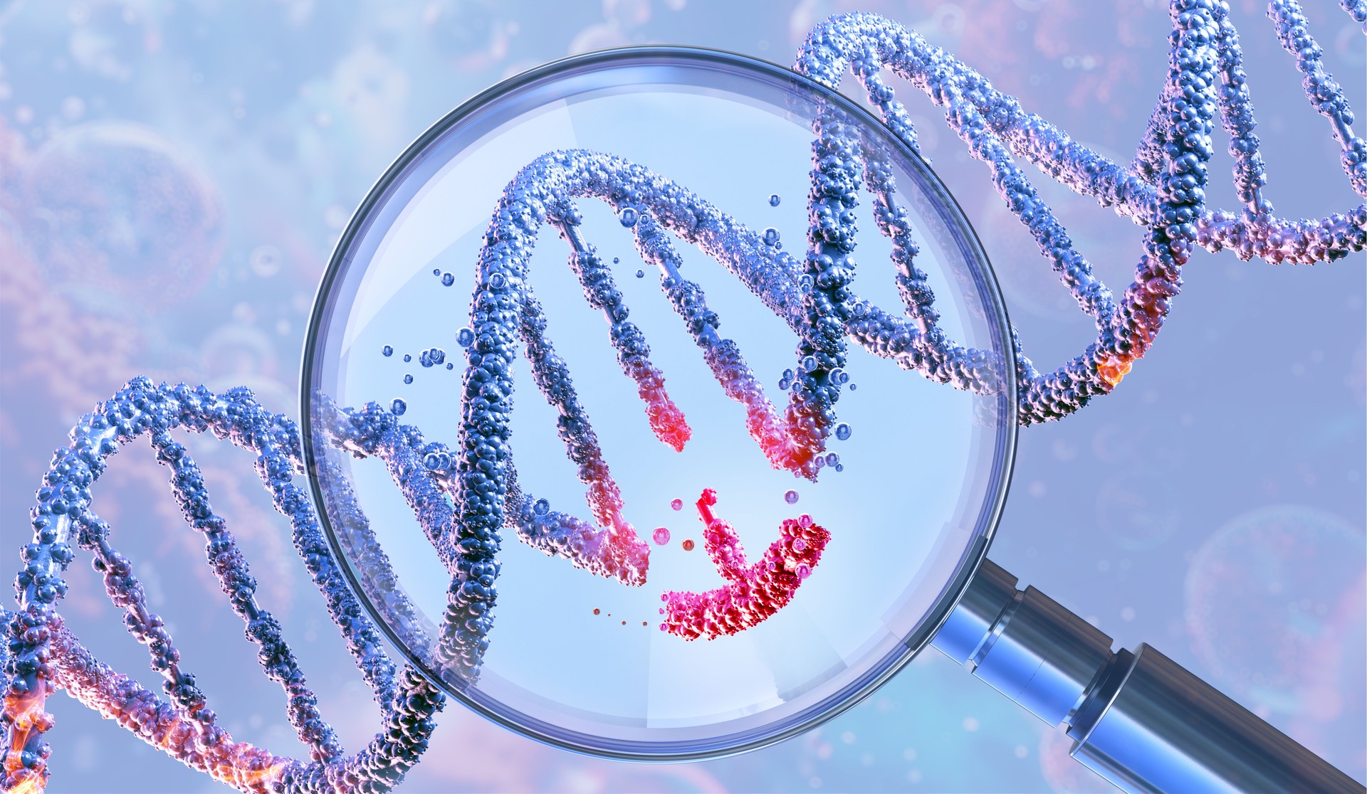 DNA double helix under a magnifying glass, symbolizing genetic engineering and gene manipulation.