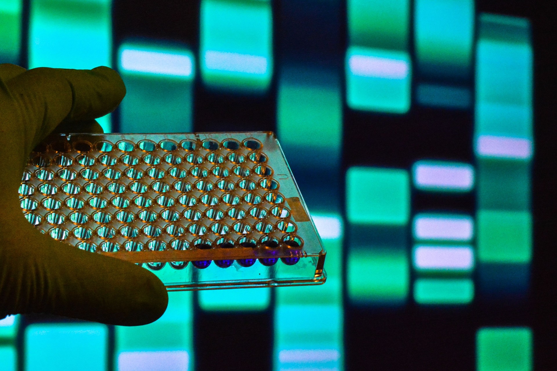DNA testing.