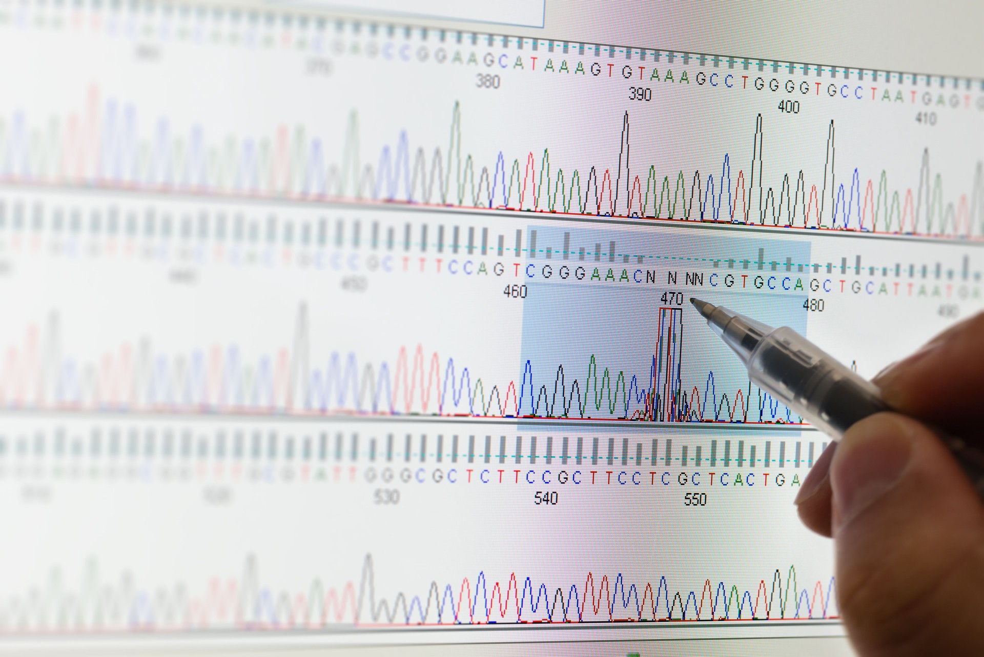DNA Sequencing results